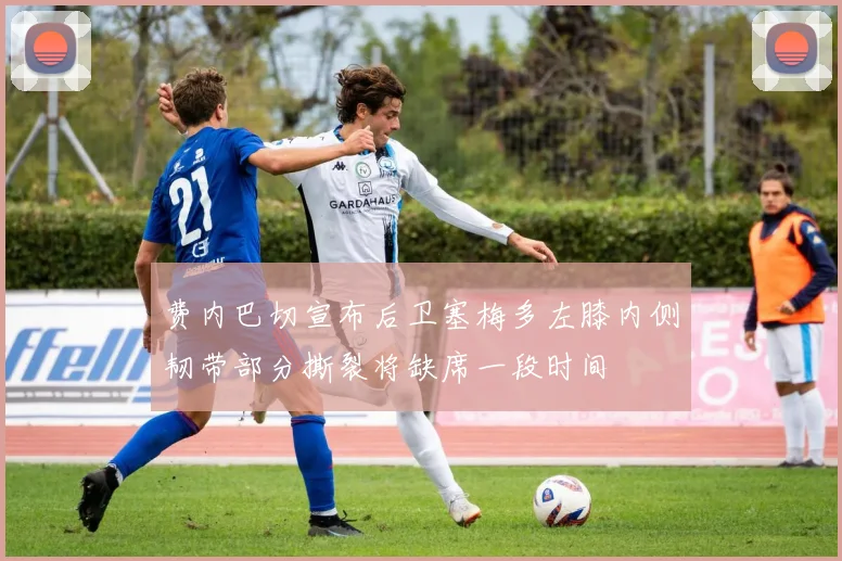 费内巴切宣布后卫塞梅多左膝内侧韧带部分撕裂将缺席一段时间