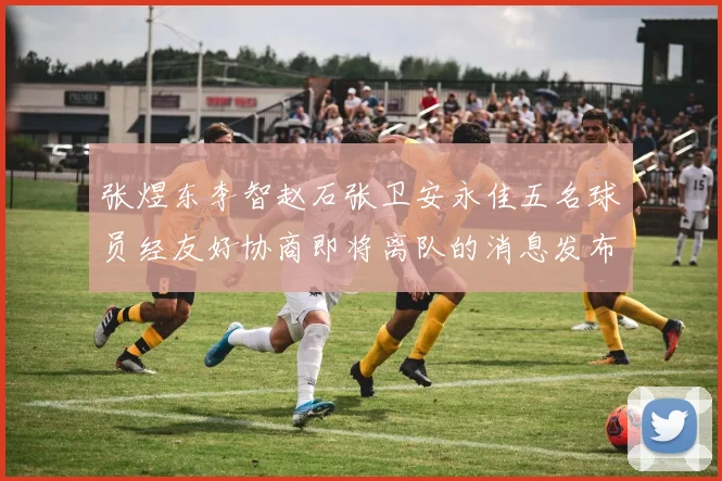 张煜东李智赵石张卫安永佳五名球员经友好协商即将离队的消息发布